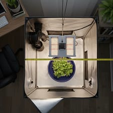 A clean, bird's-eye view looking directly down into an open 2x2 hydroponic grow tent, set up in a cozy home environment. The interior is organized with geometric precision: a central Deep Water Culture (DWC) bucket with plants, a square LED grow light hanging above it, and a black inline fan and carbon filter unit mounted neatly in the top-left corner. A yellow tape measure is stretched across the top opening, showing the exact dimensions. The scene is slightly cinematic with soft light emphasizing the orderly, space-efficient arrangement.