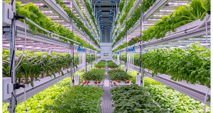 An analysis of vertical farming economics, focusing on the business and technology needed for profitability.