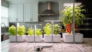 A visual comparison of different AeroGarden models, from the compact Sprout to the large Farm, illustrating their size, height, and capacity differences for a comprehensive AeroGarden review.