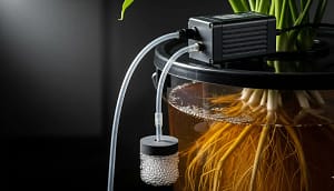 air pump on a black bucket lid, connected to tubing and a bubbling air stone, with thick white roots visible in the nutrient-rich water