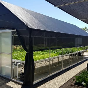  A greenhouse equipped with a shade cloth to control temperature and prevent heat stress in hydroponic plants.