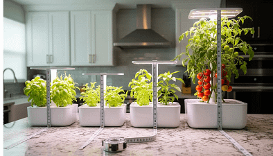 A visual comparison of different AeroGarden models, from the compact Sprout to the large Farm, illustrating their size, height, and capacity differences for a comprehensive AeroGarden review.