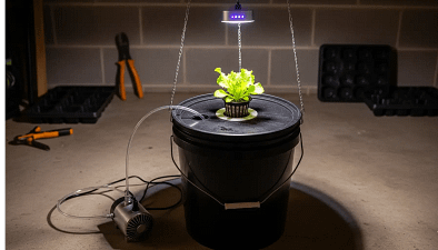 A simple, DIY budget hydroponic system built from a 5-gallon bucket and an air pump, demonstrating what is possible to build for under $100.