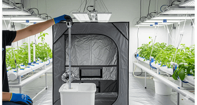 A person measuring head height for proper hydroponic pump sizing in an indoor grow room.
