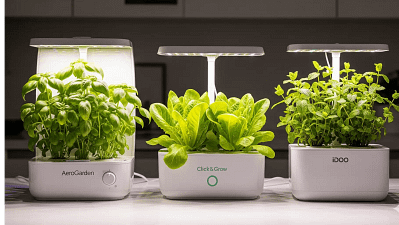 A side-by-side comparison of the AeroGarden, Click & Grow, and iDOO countertop hydroponic systems, illustrating their design differences and ideal use cases.