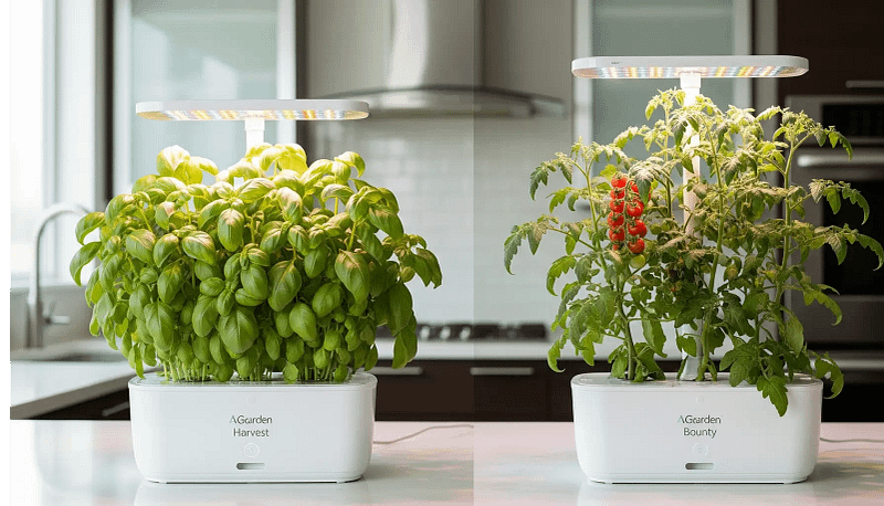 A visual comparison of the AeroGarden Harvest and Bounty models, showcasing the difference in size, plant growth, and capabilities for a detailed review.